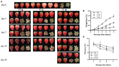 Strawberry Proteome Responses to Controlled Hot and Cold Stress Partly Mimic Post-harvest Storage Temperature Effects on Fruit Quality